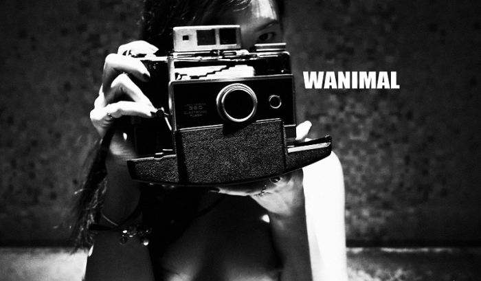 WANIMAL王动 6月VIP套图 官方出品[70P/982M]-图摄