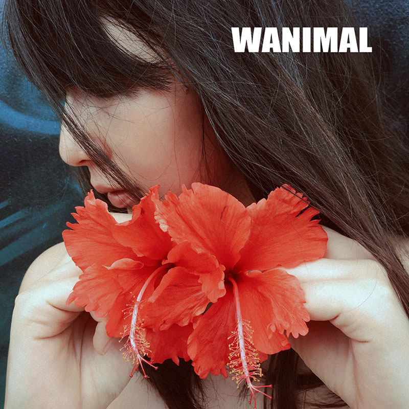 [WANIMAL王动] 2015年 作品合集 [691P/270M]-图摄