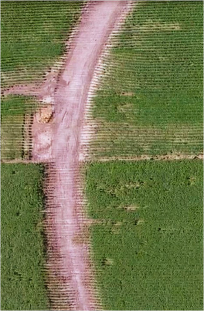 Southern Mclean County Illinois. Aerial drone photography.