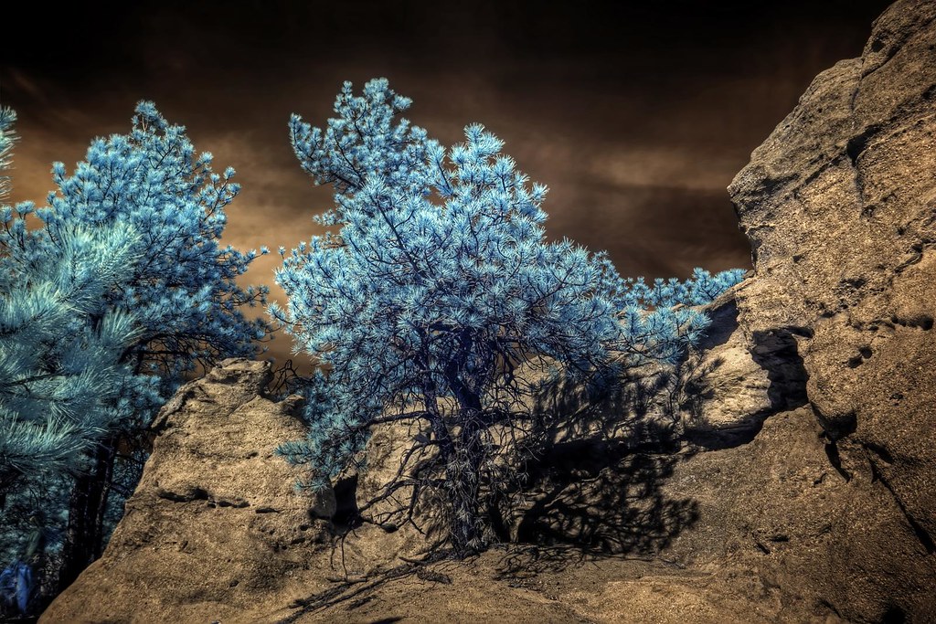 Infrared HDR Palmer Park Colorado Springs