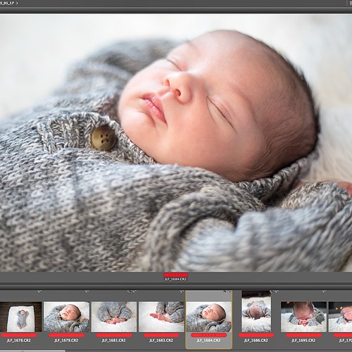 Editing this little guy's photos. Max Tiber is sooo cute! #jandjphotoanddesign #
