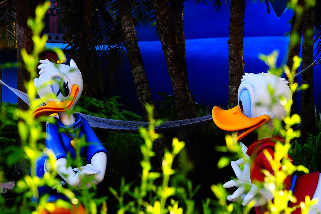 Duck Romance